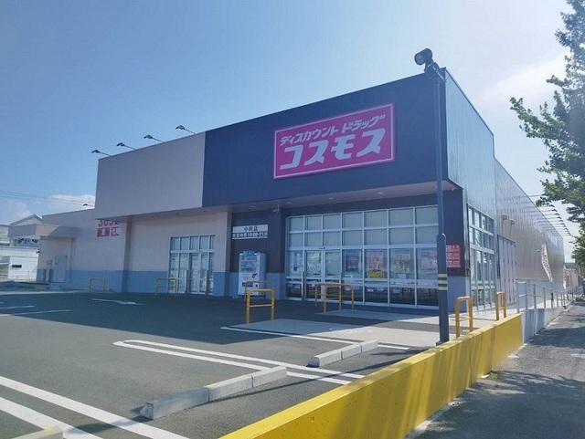 コスモス：650m