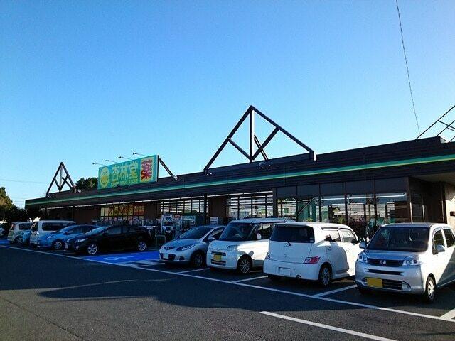 杏林堂ドラッグストア 上島駅前：600m