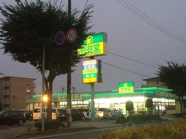 杏林堂ドラッグストア向宿店：1200m