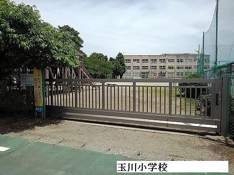 玉川小学校：1600m