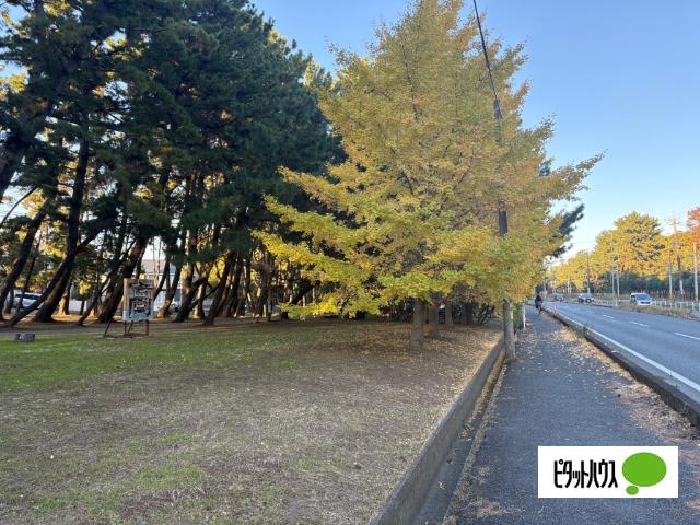 高師緑地：943m