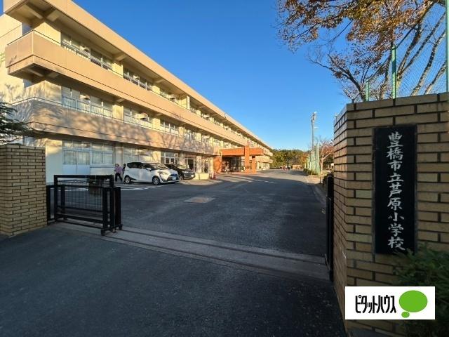 豊橋市立芦原小学校：1077m