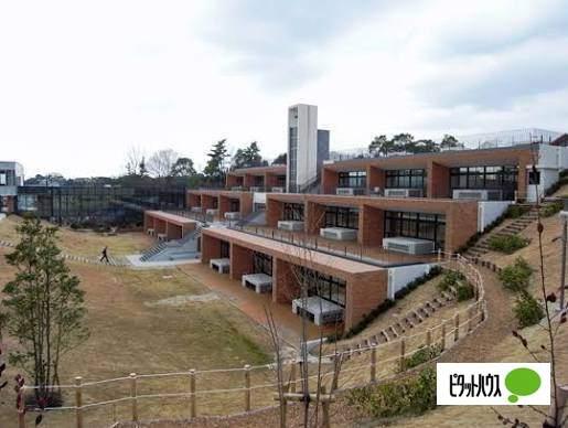 私立名進研小学校：1444m