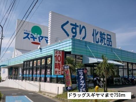 ドラッグスギヤマ：750m