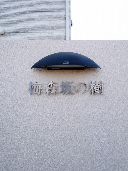 梅森坂の樹 物件画像