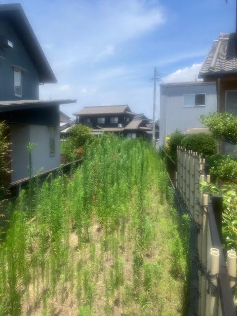碧南市東浦町土地　 土地画像