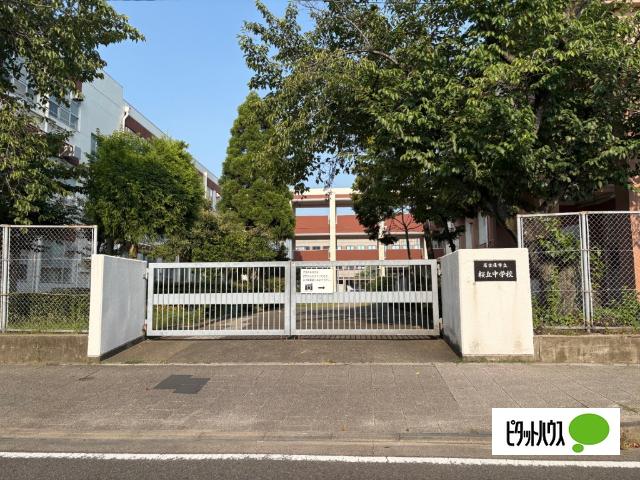 中学校