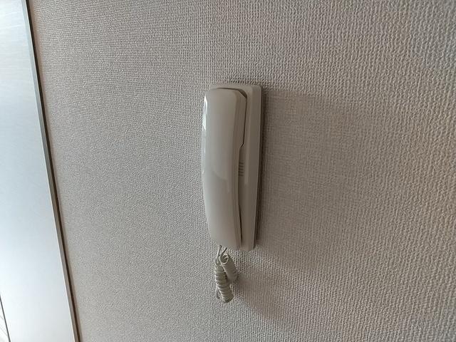 ドミールシャルマン（203） 部屋画像