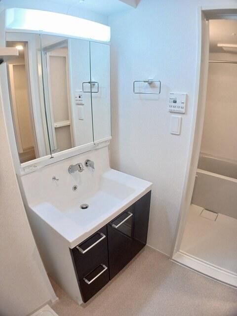 レジデンス　藤ケ森（203） 洗面