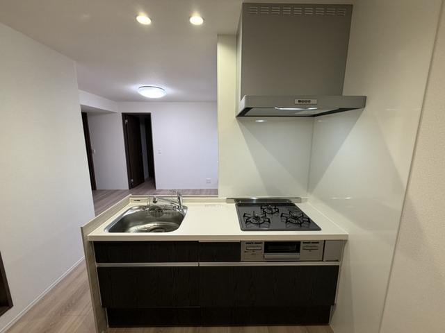 D-ROOM Sagarimatsu（202） キッチン