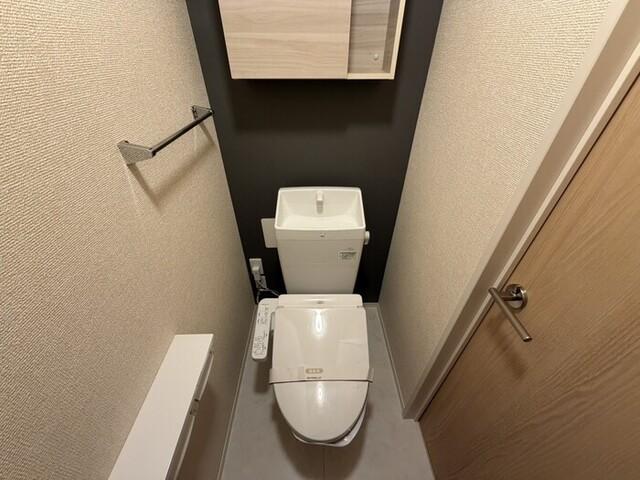 D-ROOM嵯峨嵐山（307） トイレ