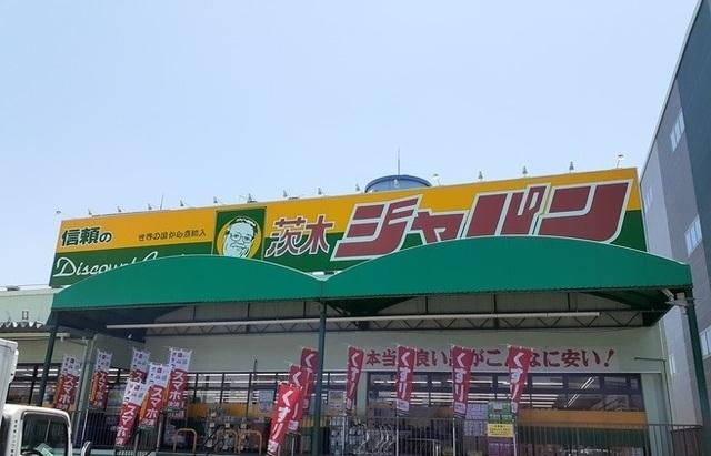 ジャパン様：300m