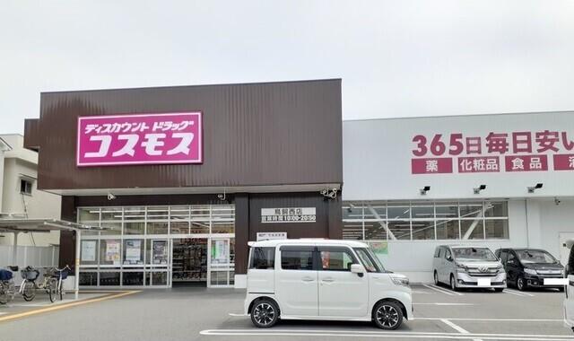 コスモス様：450m