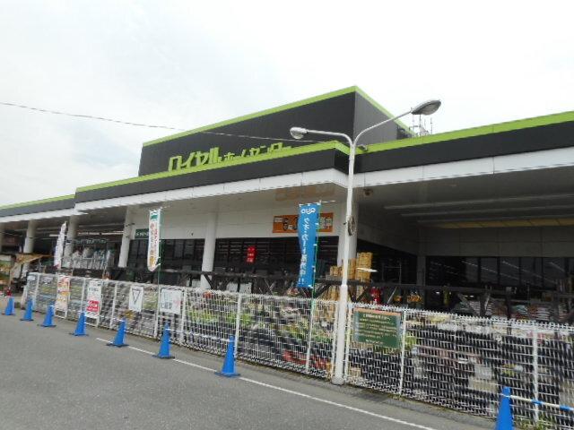 ロイヤルホームセンター枚方店様：1100m