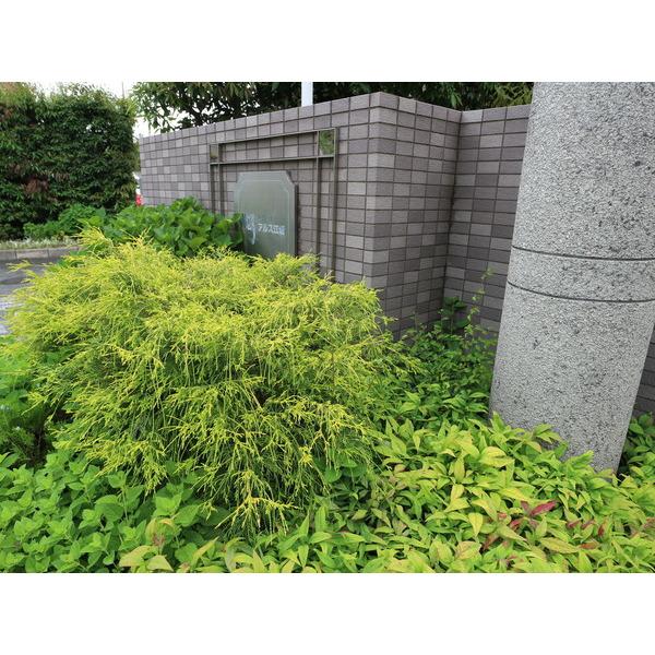 東急ドエル・アルス江坂 物件画像