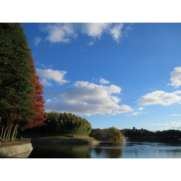 桃山公園２