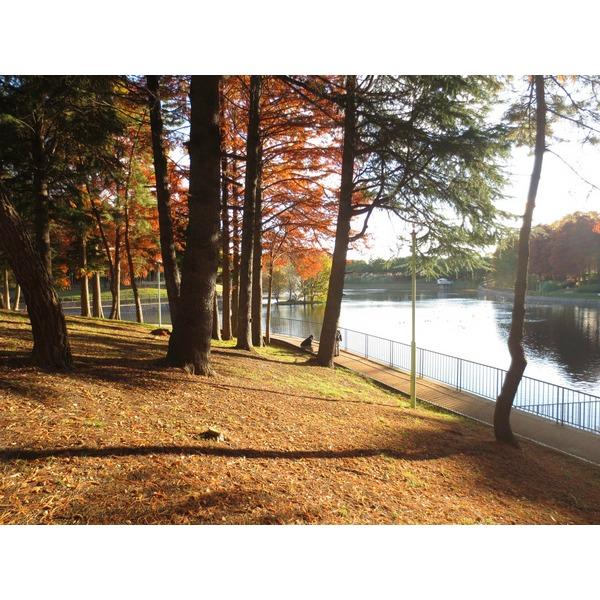 桃山公園1
