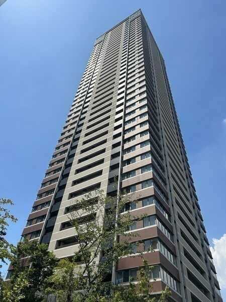 なにわ淀川花火大会の花火