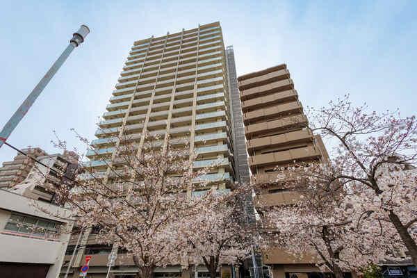 地下鉄谷町線「谷町六丁目」駅徒歩3分他、利便性の高い立地。周辺は四季の移ろいが実感できる住環境です。