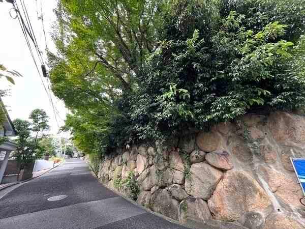 現地建物(2階相当)からの眺望
