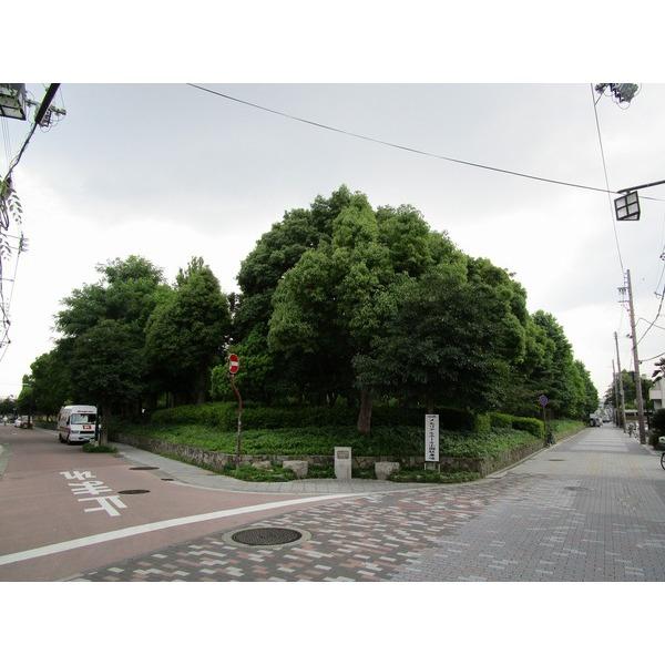公園