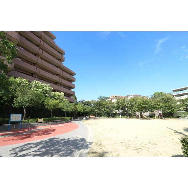 公園