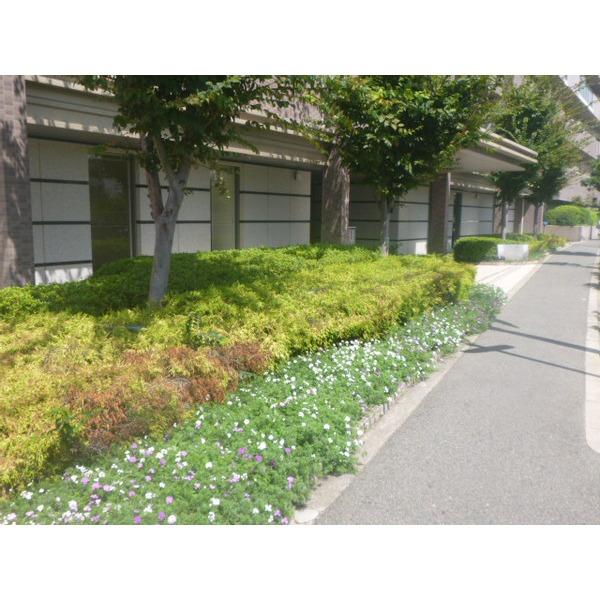 ファインデイズ北花田 その他