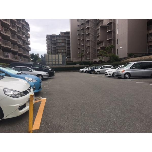 エバーグリーン金岡 駐車場