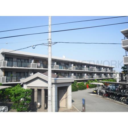 南西向き