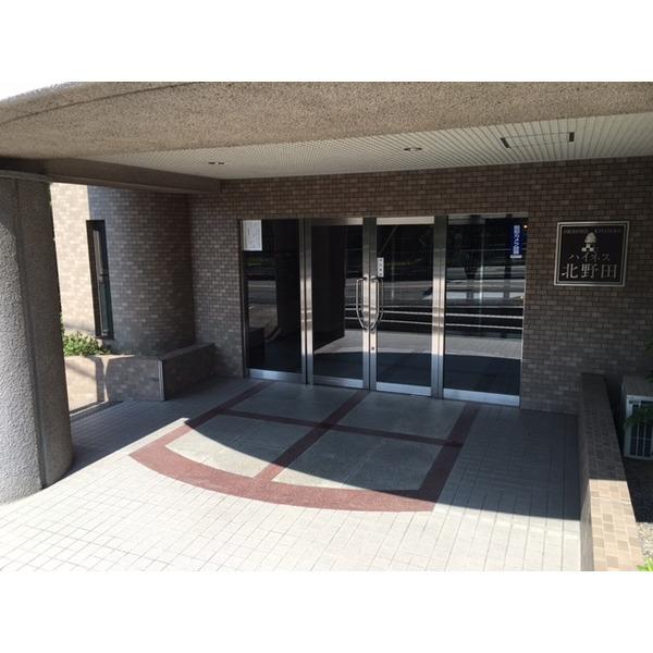 ハイネス北野田 外観