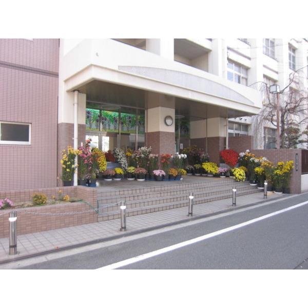 小学校