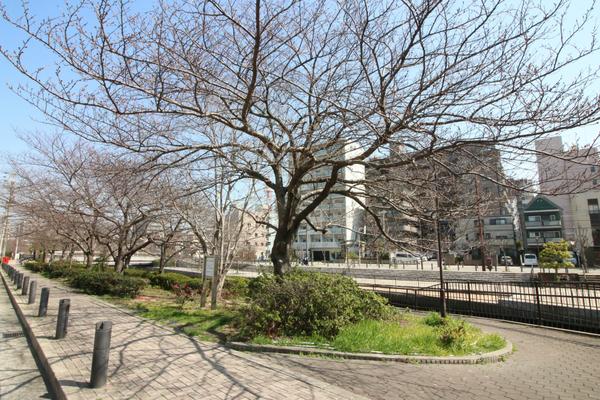 ターミナルマンション朝日プラザ堺 その他