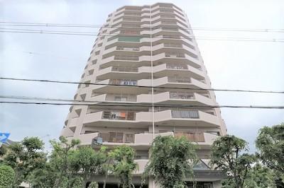 ドムール平野 外観