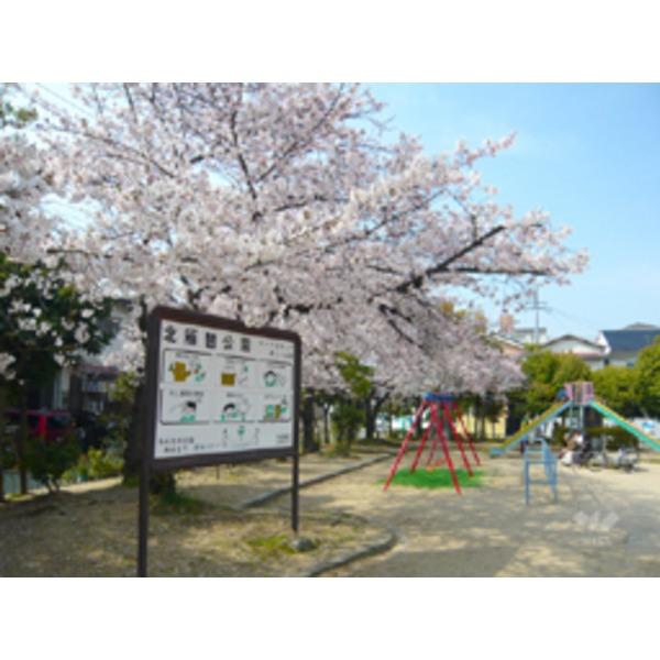 公園