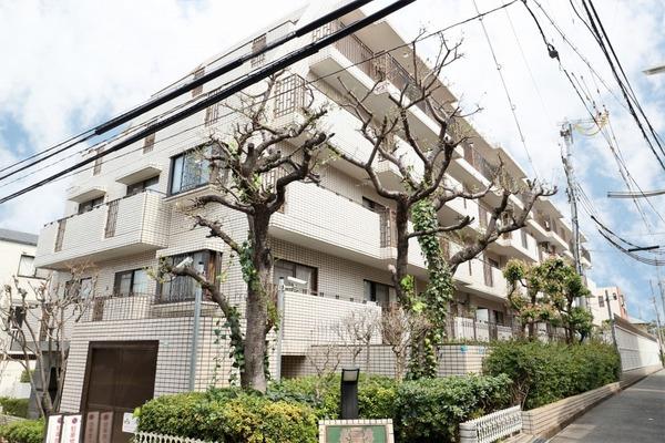 ライオンズマンション北畠 物件画像