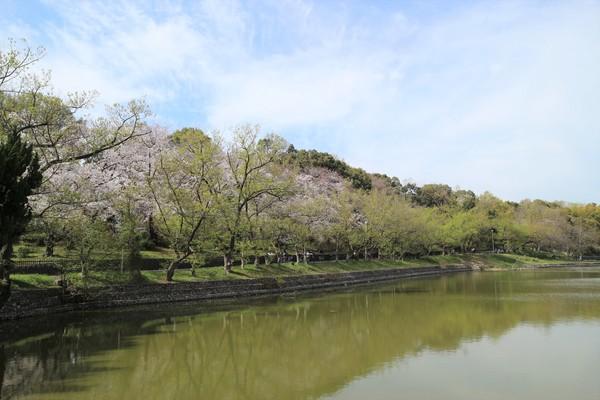 公園