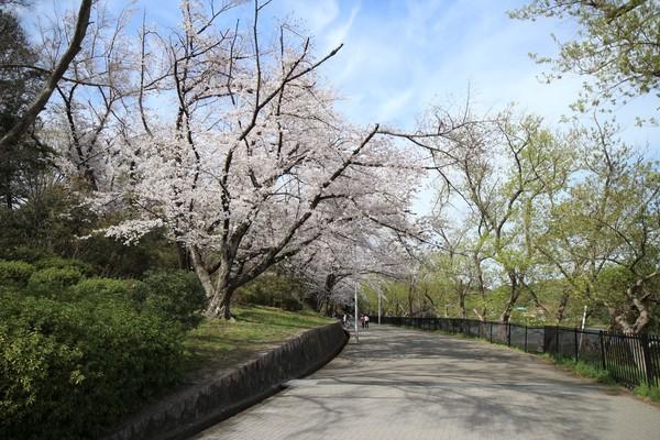 公園