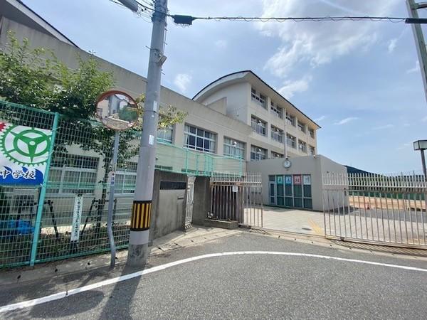 中学校