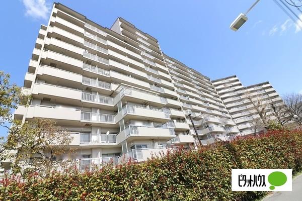 南港コープうしお　24号棟 物件画像