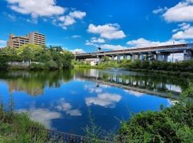 公園