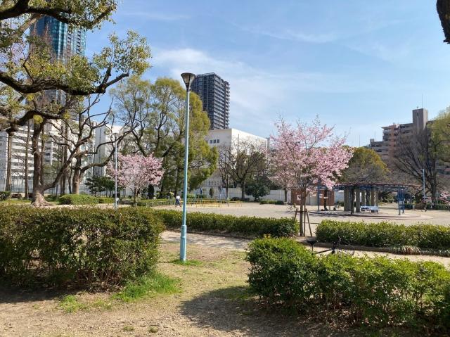 公園