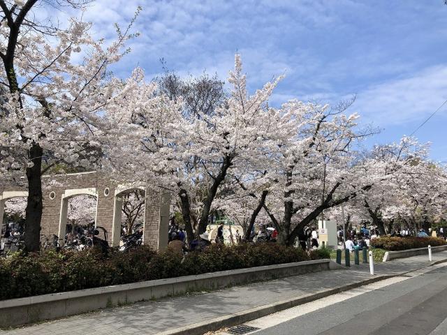公園
