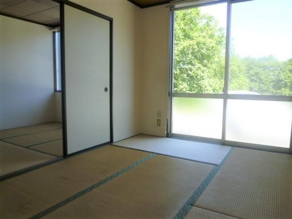瀬音ハイツ（0105） その他部屋・スペース
