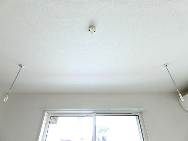 Ｄ−ｒｏｏｍ Ｃｉｎｎａｍｏｎ（102） 部屋画像