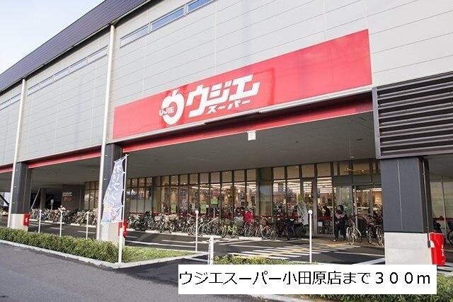 ウジエスーパー小田原店：300m