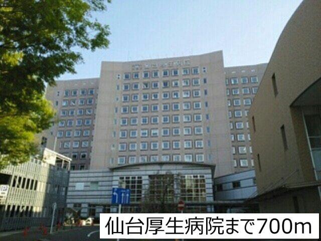 仙台厚生病院：700m