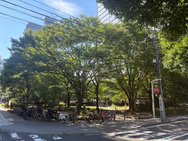 公園