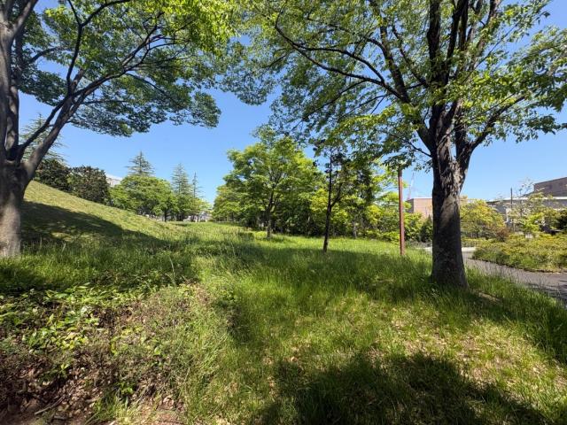 公園