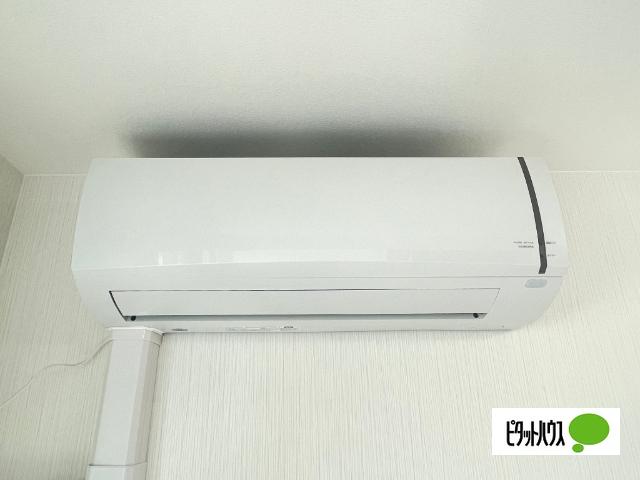 HS312（203） 部屋画像