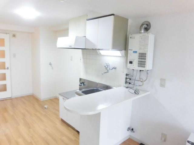 αＮＥＸＴ北１５条（1105） キッチン